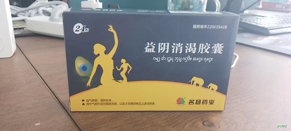 叶开泰 益气糖康胶囊