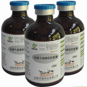 安替 注射用盐酸头孢吡肟