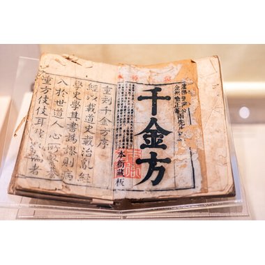 大政 蒲公英片 48片 长春大政药业科技有限公司