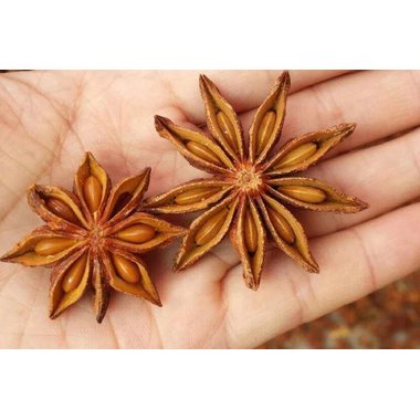 德润堂 八角茴香 0.5kg 广西德润堂中药科技有限公司