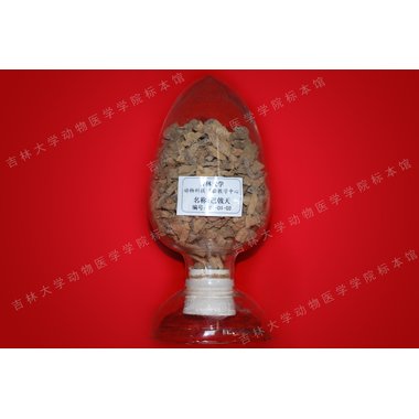 绿之圣 巴戟肉 1kg/袋 广东绿之圣制药有限公司