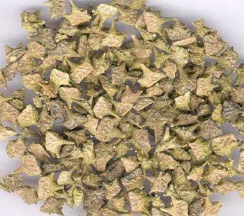 荣华本草 炒蒺藜