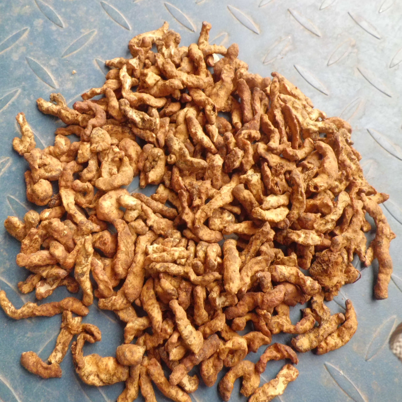 道地药材 炒僵蚕