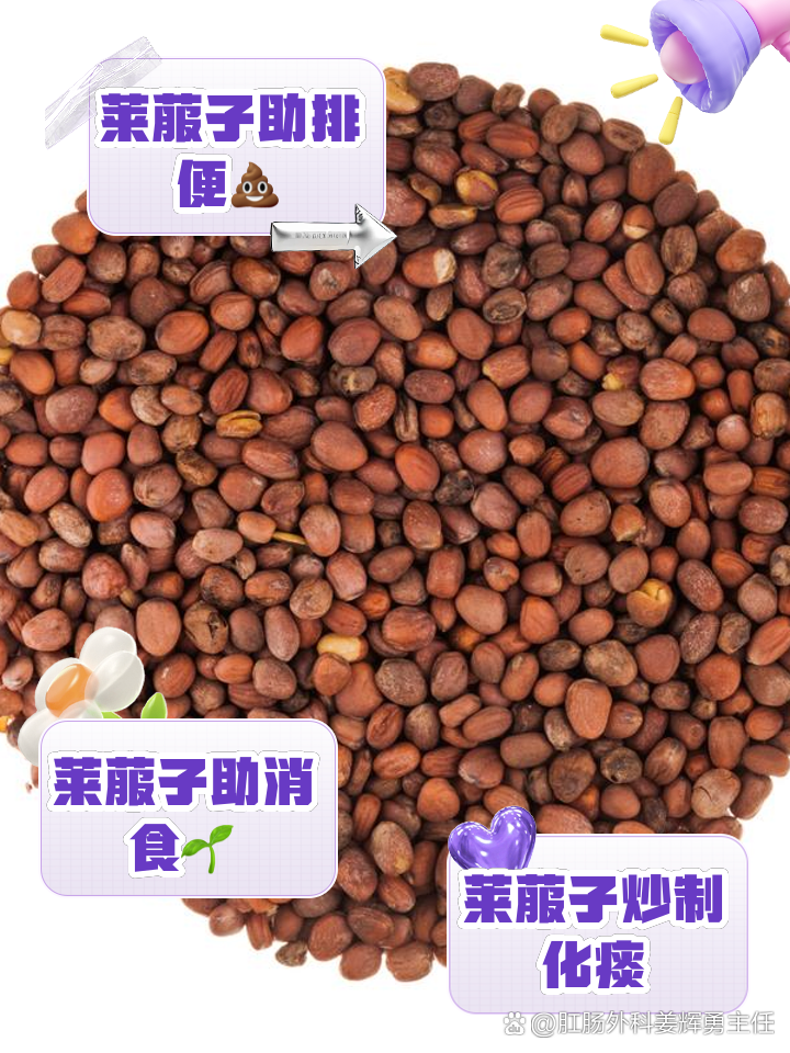 德润堂 炒莱菔子