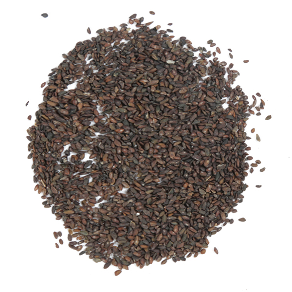 道地药材 车前子