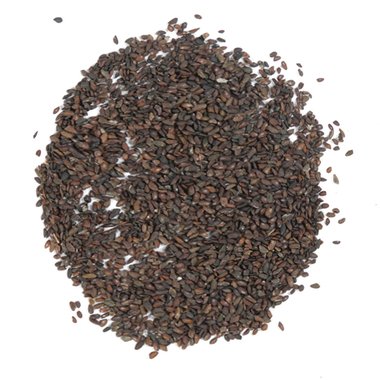 道地药材 车前子 1000g/袋 湖北道地药材科技有限公司