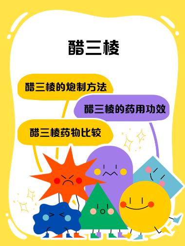 道地药材 醋三棱