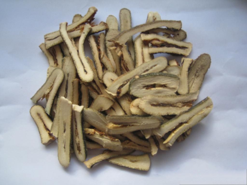 道地药材 麸炒枳壳