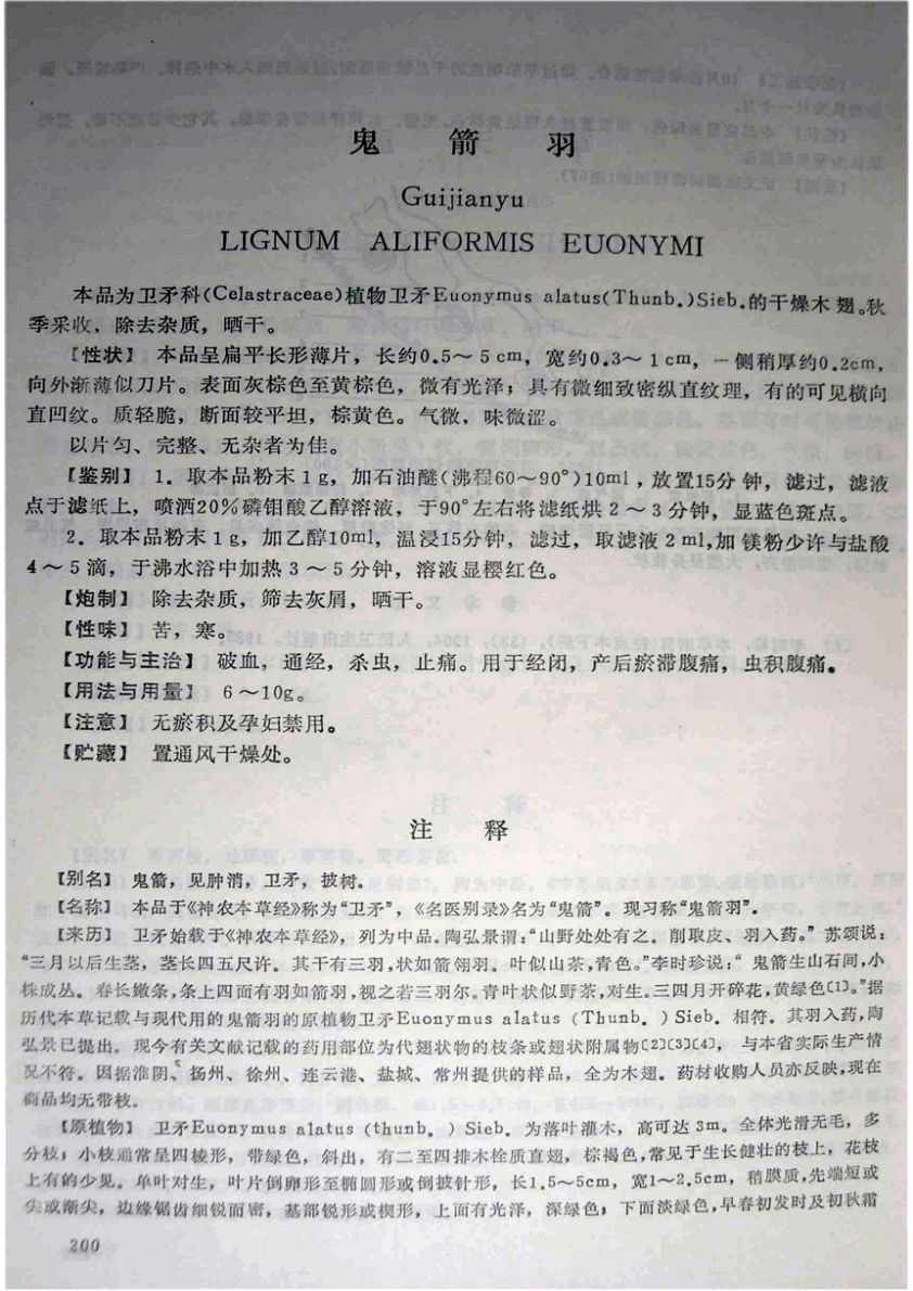 润德 鬼箭羽