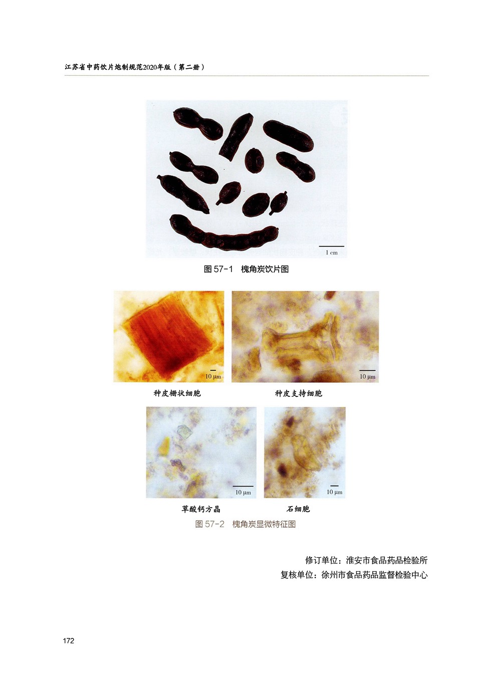 道地药材 槐角