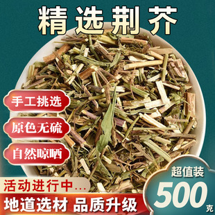 道地药材 荆芥
