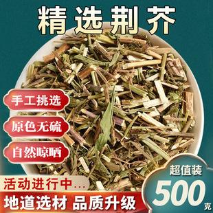 道地药材 荆芥