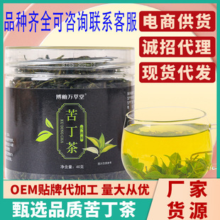 道地药材 苦丁茶