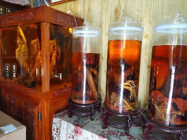 松龄堂 鹿茸片（白粉）