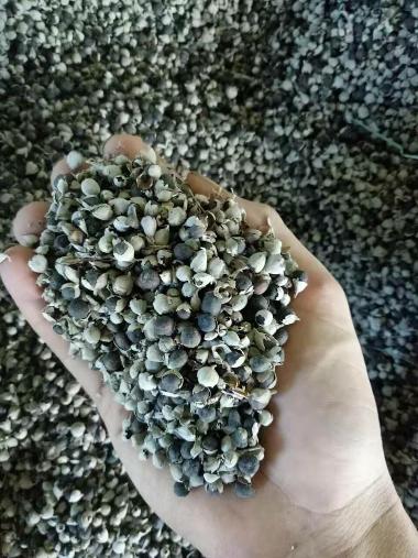 德润堂 蔓荆子 0.5kg 广西德润堂中药科技有限公司