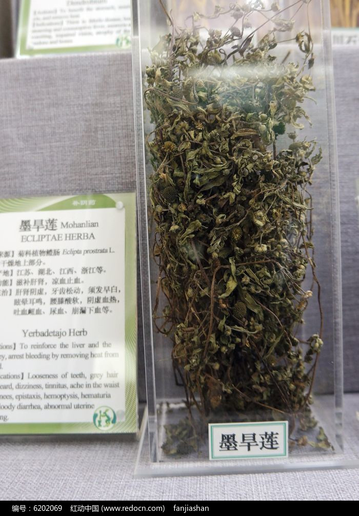 德润堂 墨旱莲