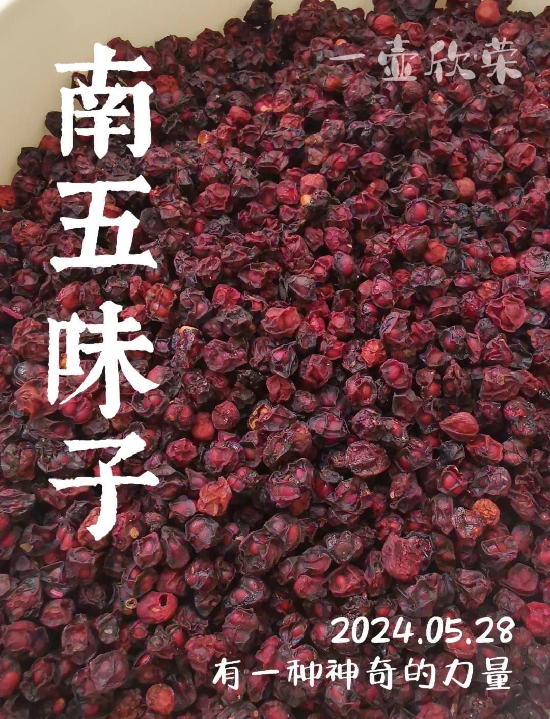 彭氏 南五味子