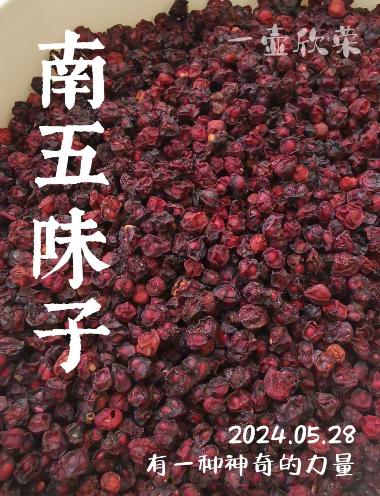 彭氏 南五味子 0.25k 江西彭氏国药堂饮片有限公司