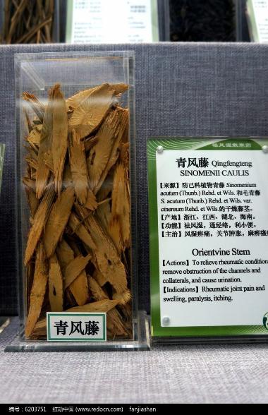道地药材 青风藤 500g/袋 湖北道地药材科技有限公司