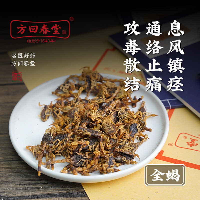 道地药材 全蝎