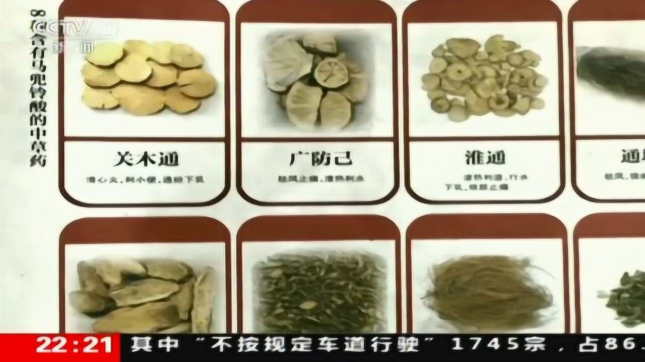 嘉恒冷背 马兜铃
