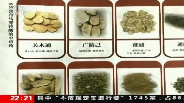嘉恒冷背 马兜铃 0.5kg/袋 河北嘉恒冷背药业有限公司