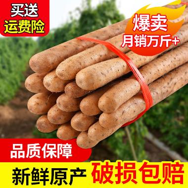 古方原 山药 0.5kg/包  江西古方原中药饮片有限公司