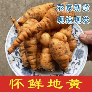 滋百岁 熟地黄 1000g/包 滋百岁(河北)药业有限公司