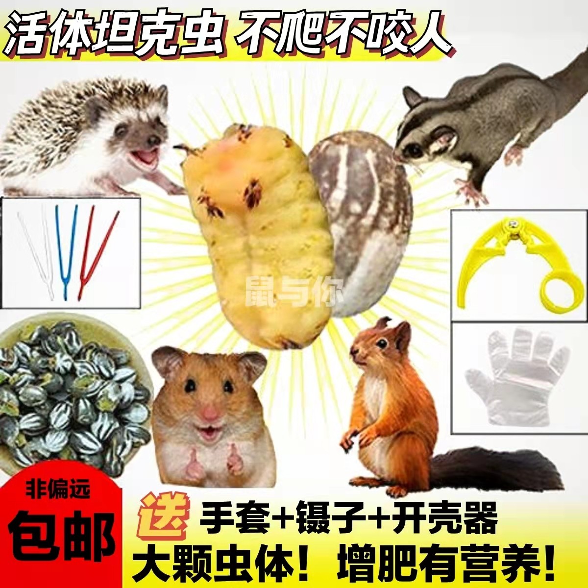 嘉恒冷背 烫刺猬皮