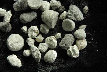 滋百岁 天竺黄 250g/包选 滋百岁(河北)药业有限公司