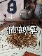 思安 仙鹤草