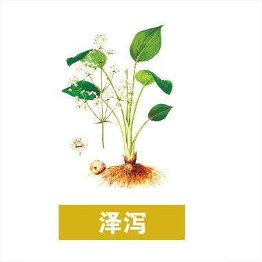 久旺 盐泽泻 1kg/袋 安国市久旺药业有限公司