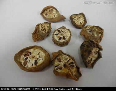 神农 预知子