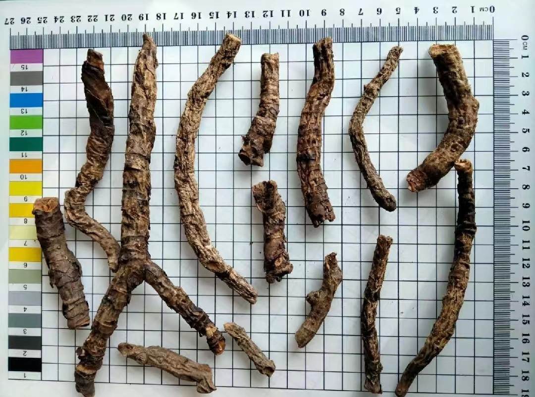 优选 盘龙七片（薄膜衣