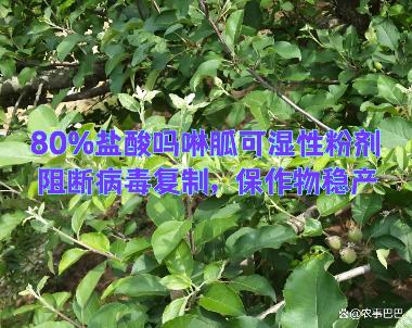 盐酸吗啉胍片