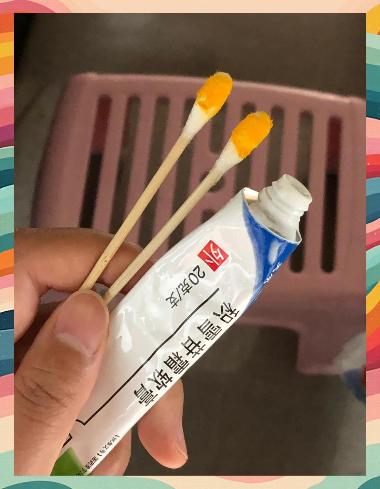 优选 积雪苷片