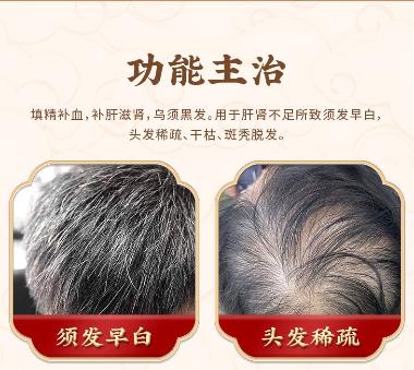 优选 固肾生发丸