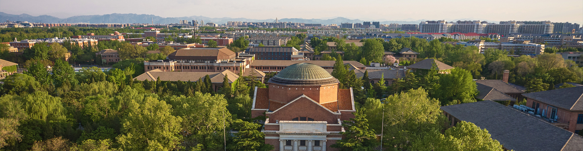 优选 卡维地洛片(金络
