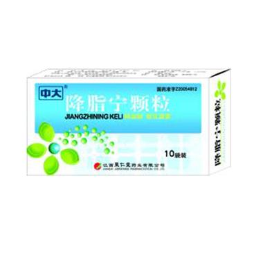 降脂宁颗粒 10g*6袋 吉林省华侨药业集团有限公司