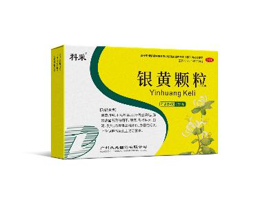 银黄胶囊 0.3g*24s 四川省仁德制药有限公司