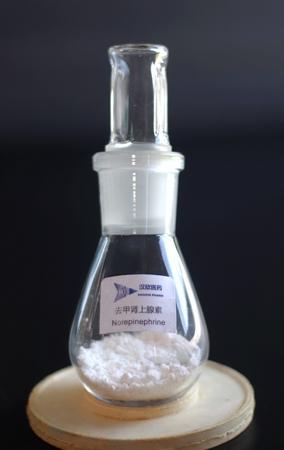 重酒石酸去甲肾上 1ml:2mg*2支 津药和平（天津）制药有限公司