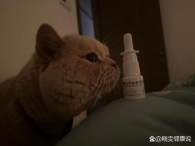 优选 盐酸羟甲唑啉喷雾