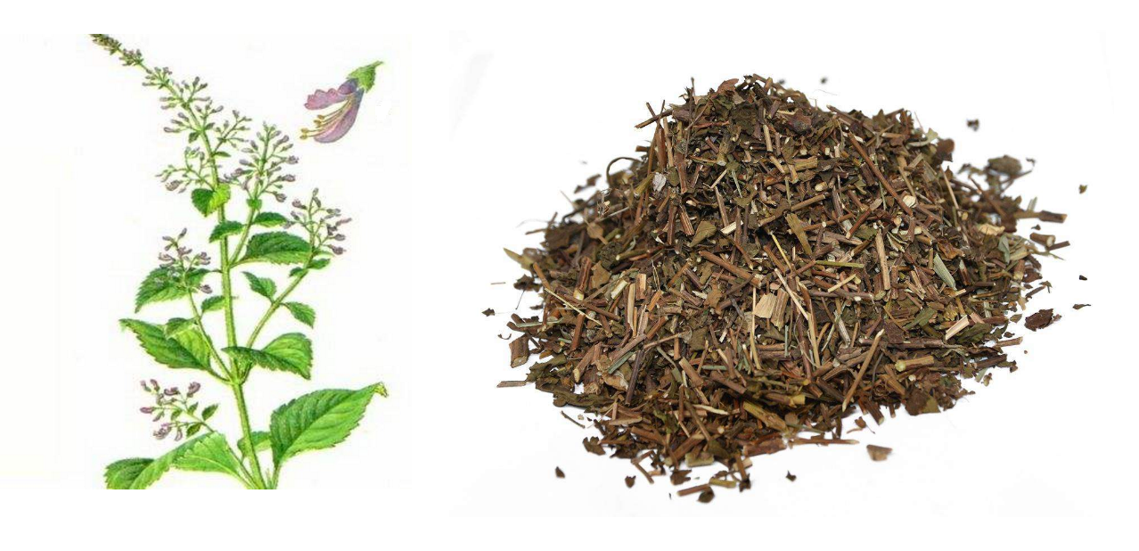 优选 冬凌草片（薄膜衣