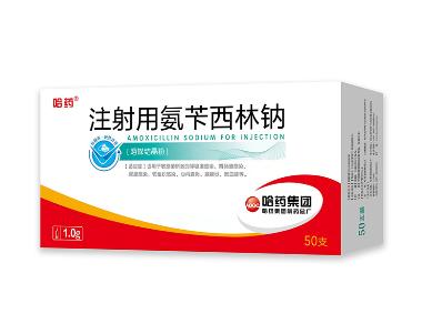 注射用赖氨匹林 0.9g 湖南赛隆药业（长沙）有限公司