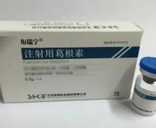 注射用葛根素(安 0.2g*1瓶 浙江震元制药有限公司