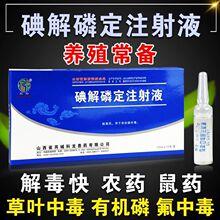 氯解磷定注射液