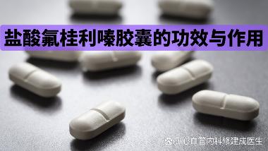 盐酸氟桂利嗪胶囊