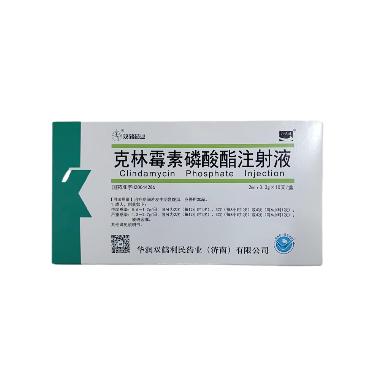 克林霉素磷酸酯注
