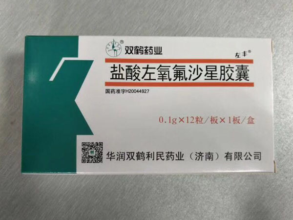 优选 盐酸左氧氟沙星胶