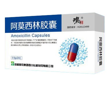 优选 阿莫西林胶囊